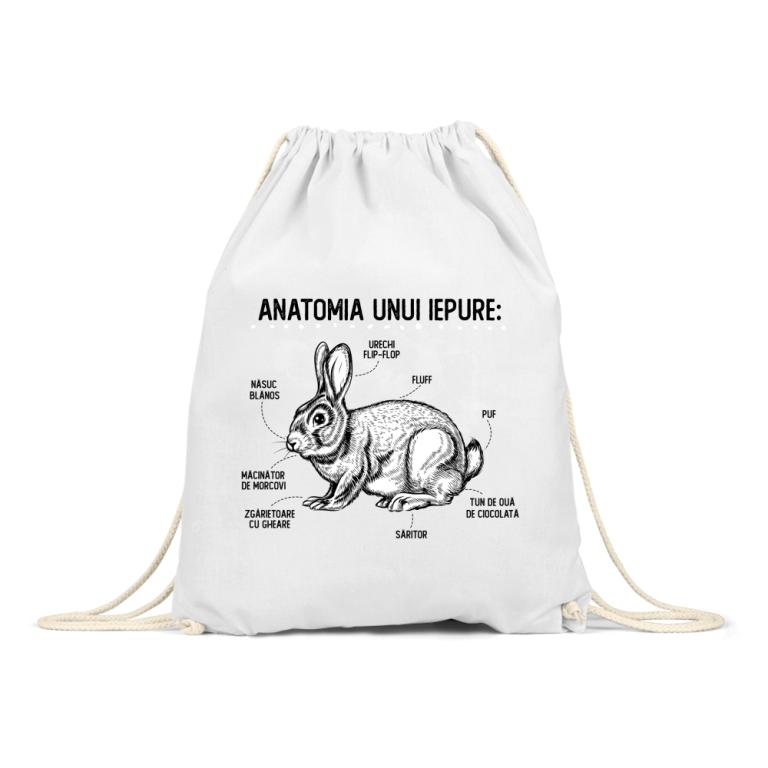 Anatomia unui iepure