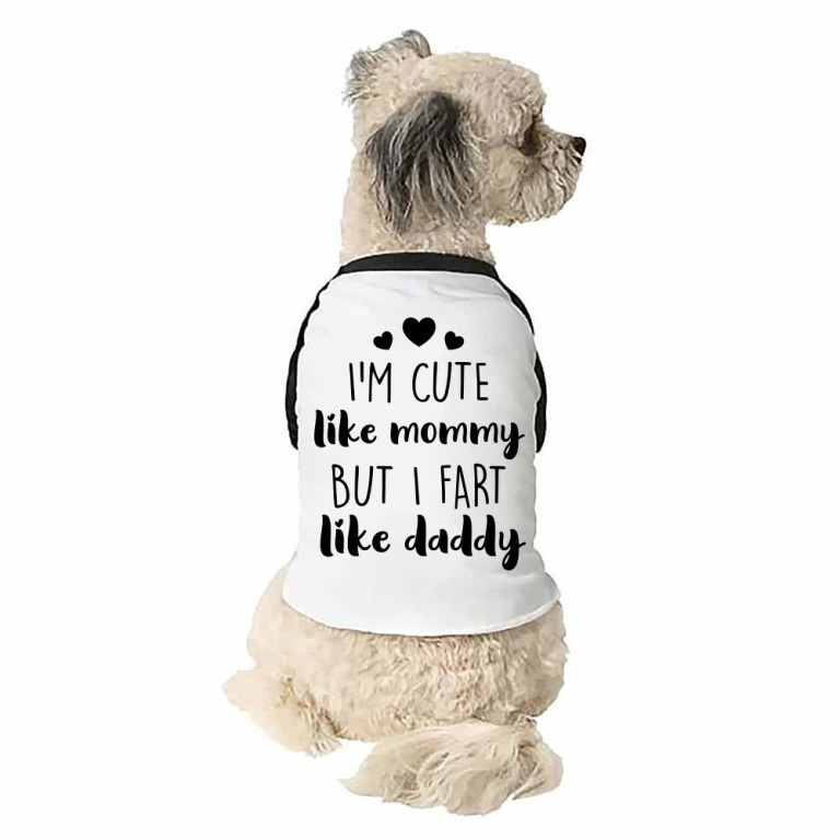 I fart like daddy