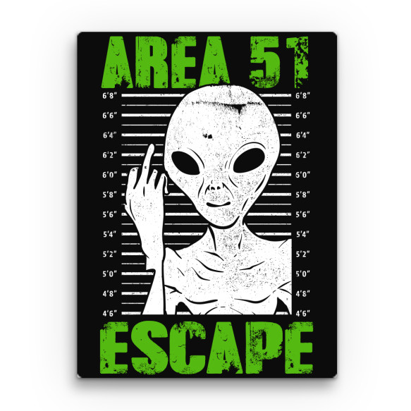 Area 51 escape UFO Vászonkép - UFO