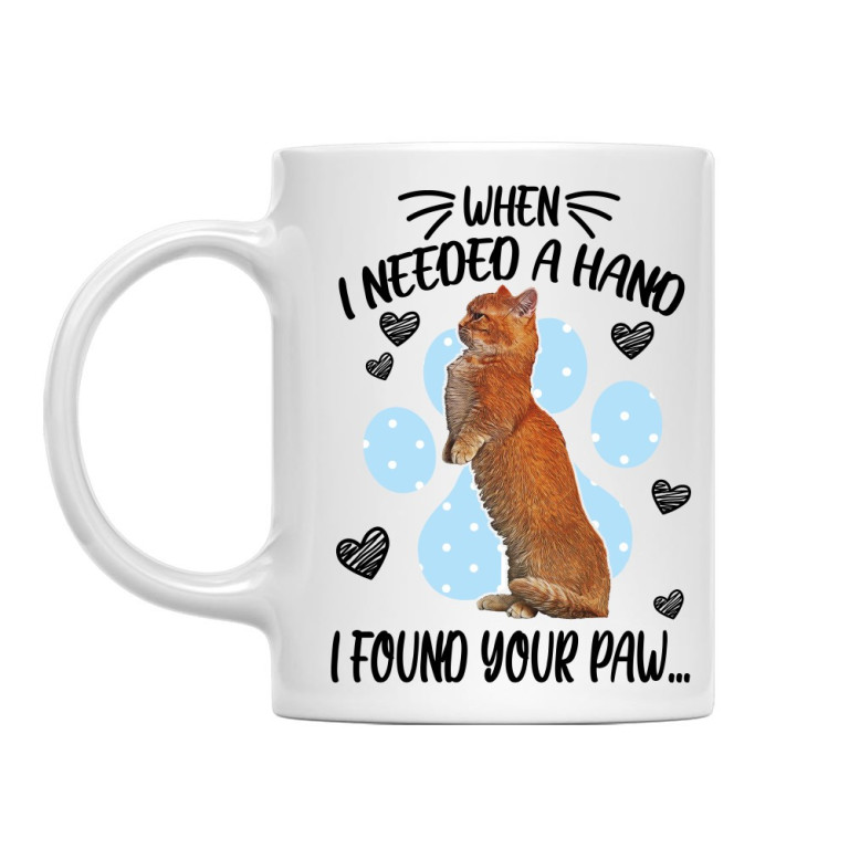 I found your paw - Munchkin