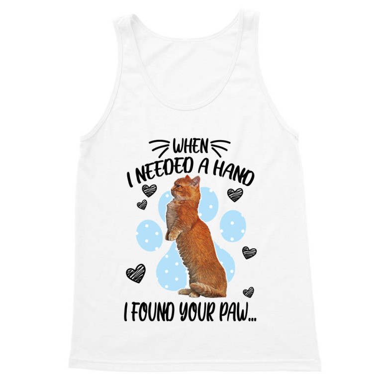 I found your paw - Munchkin