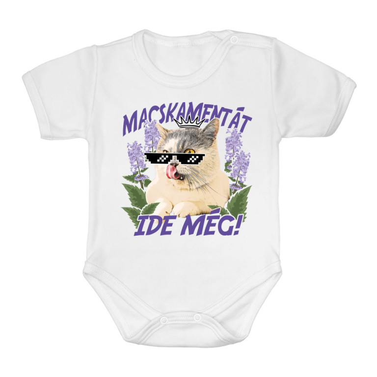 Macskamentát ide - Munchkin