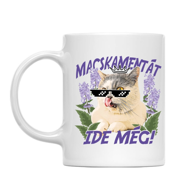 Macskamentát ide - Munchkin
