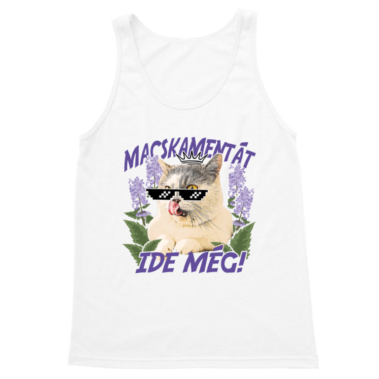 Macskamentát ide - Munchkin