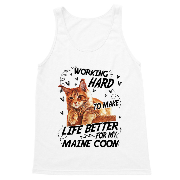 I work hard - Maine coon