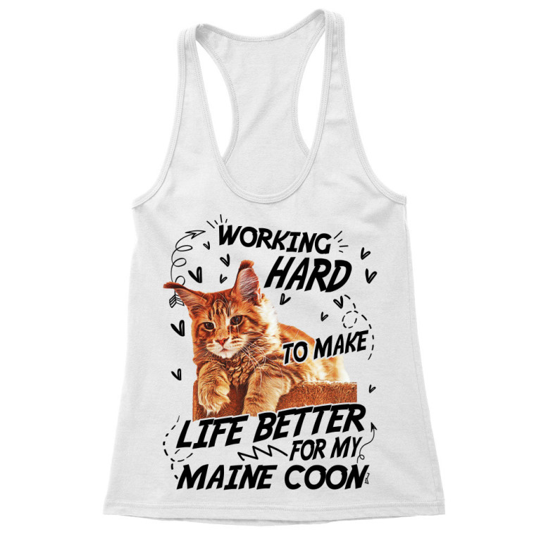 I work hard - Maine coon