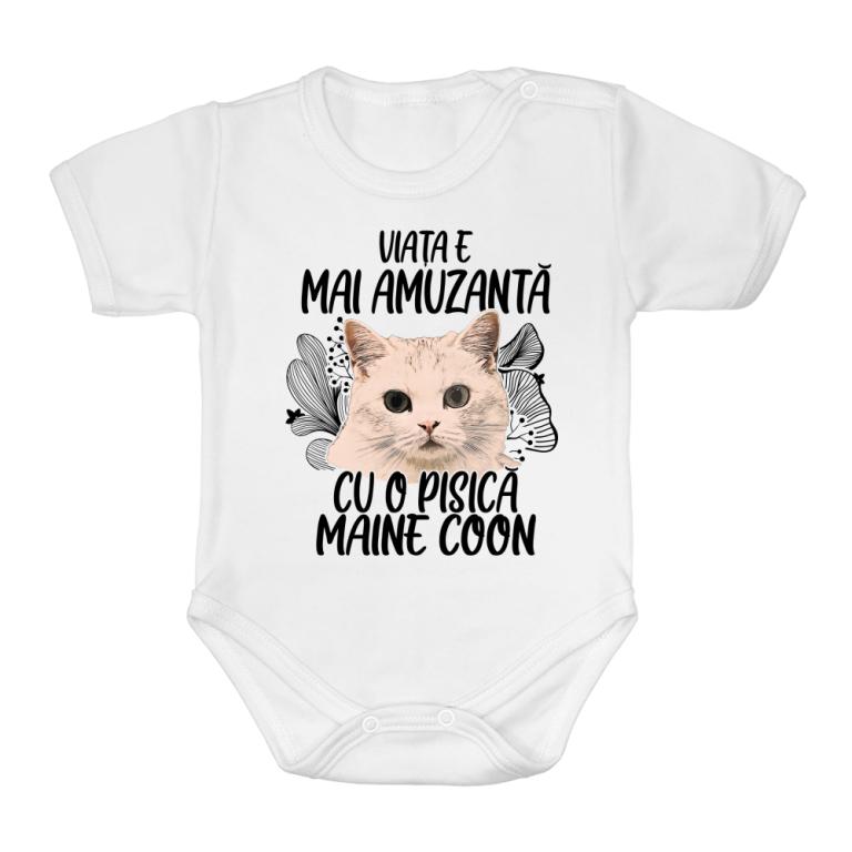Viața e mai amuzantă - Maine coon