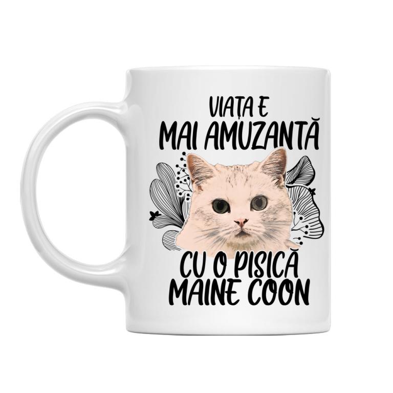 Viața e mai amuzantă - Maine coon