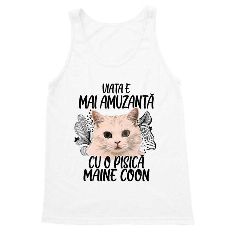 Viața e mai amuzantă - Maine coon
