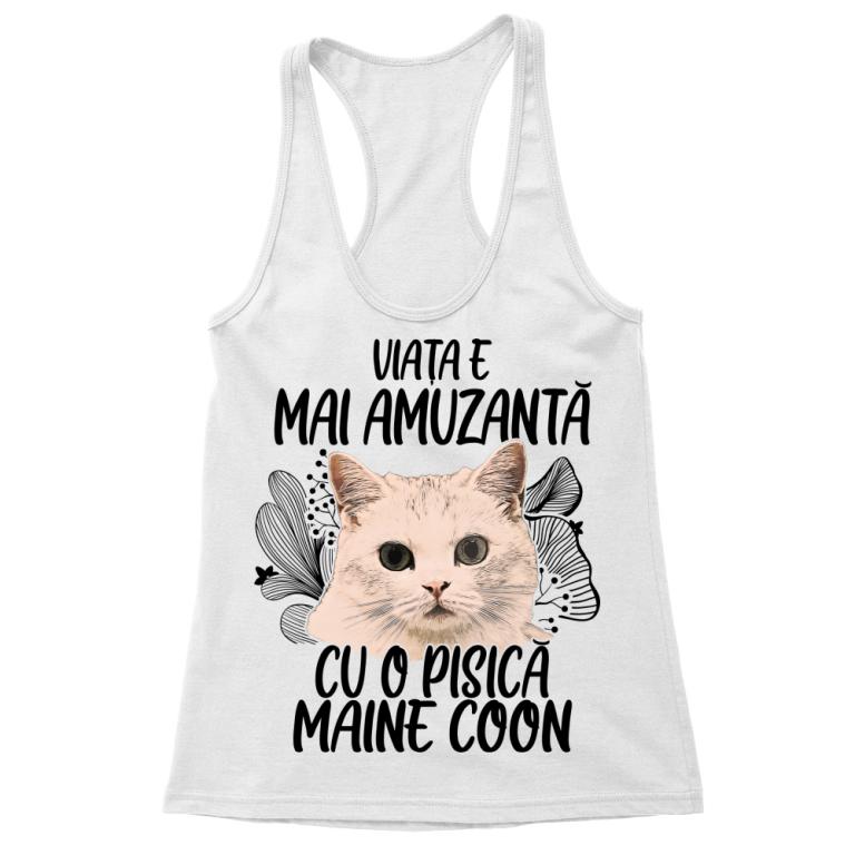 Viața e mai amuzantă - Maine coon