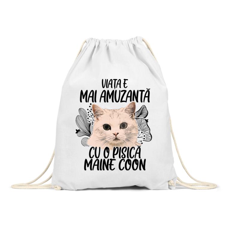 Viața e mai amuzantă - Maine coon