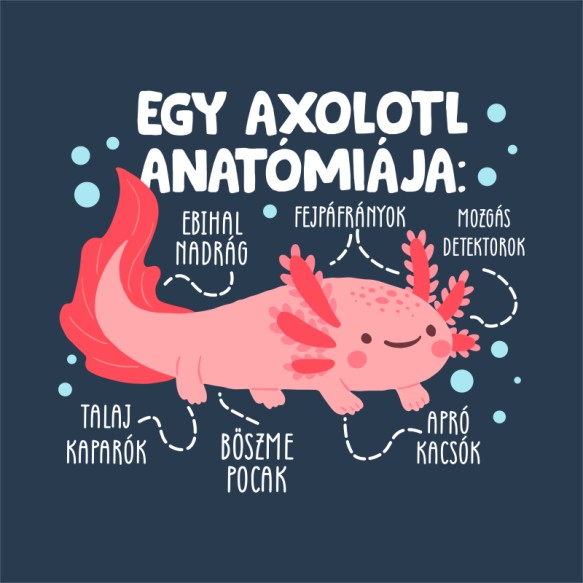 Egy axolotl anatómiája Axolotl Pólók, Pulóverek, Bögrék - Axolotl