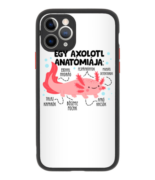 Egy axolotl anatómiája Axolotl Telefontok - Axolotl