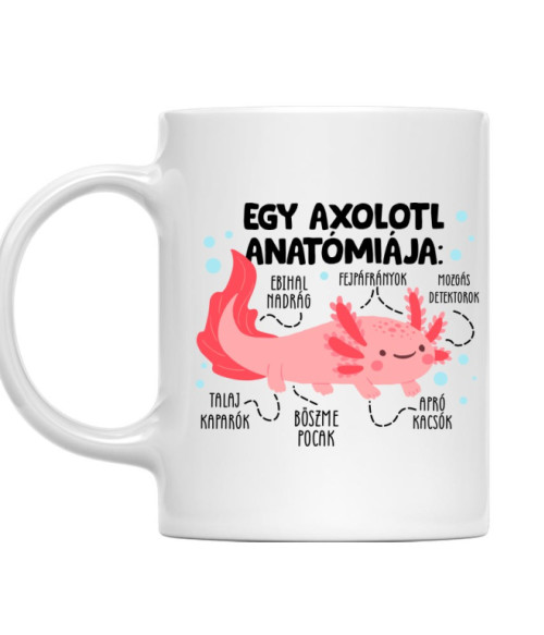 Egy axolotl anatómiája Axolotl Bögre - Axolotl