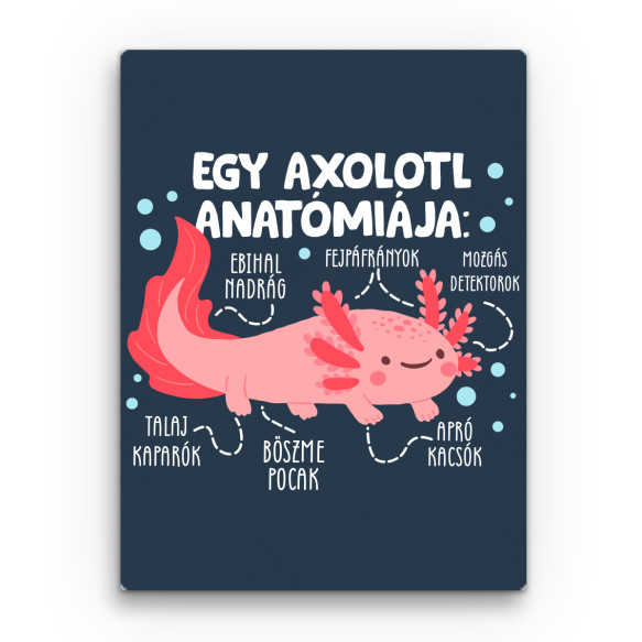 Egy axolotl anatómiája Axolotl Vászonkép - Axolotl