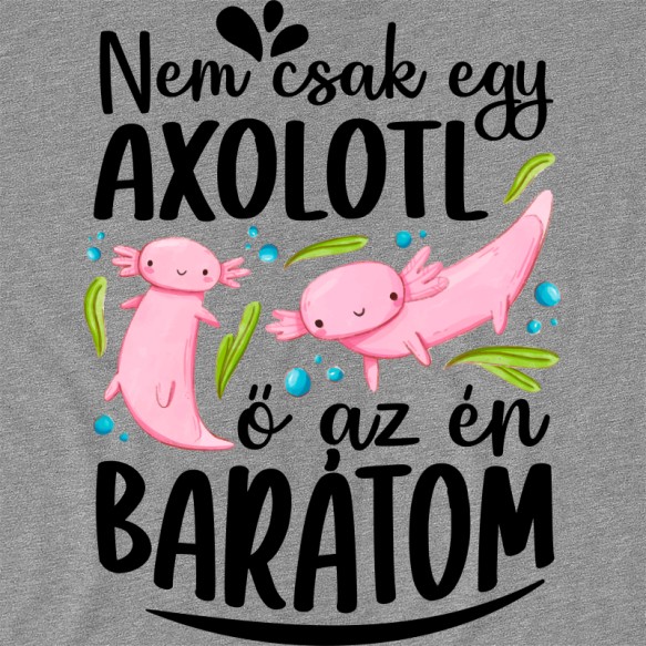 Ő az én barátom - Axolotl Axolotl Pólók, Pulóverek, Bögrék - Axolotl