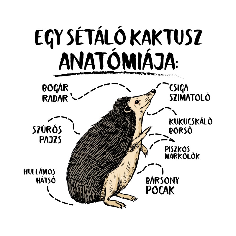 Egy sétáló kaktusz anatómiája