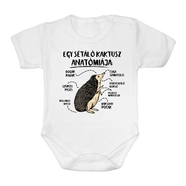 Egy sétáló kaktusz anatómiája - Baba Body