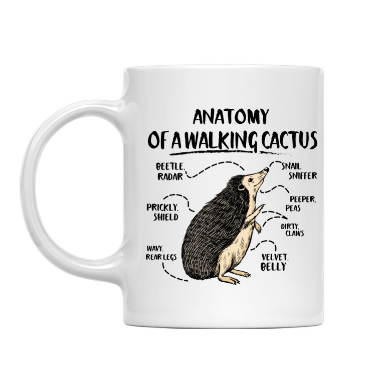 Anatomy of a walking cactus