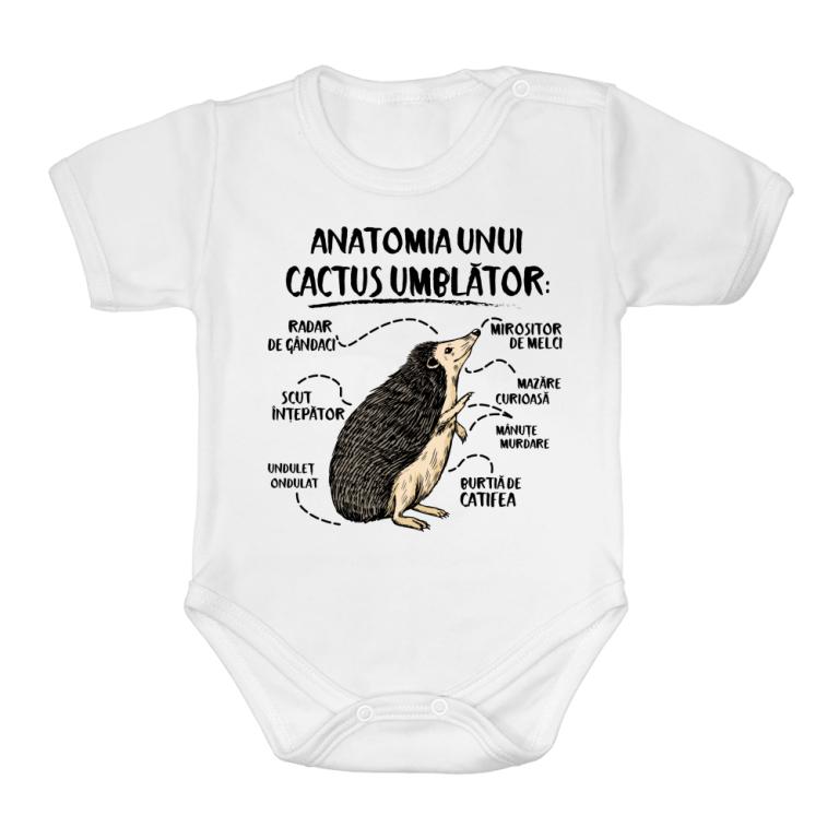 Anatomia unui cactus umblător