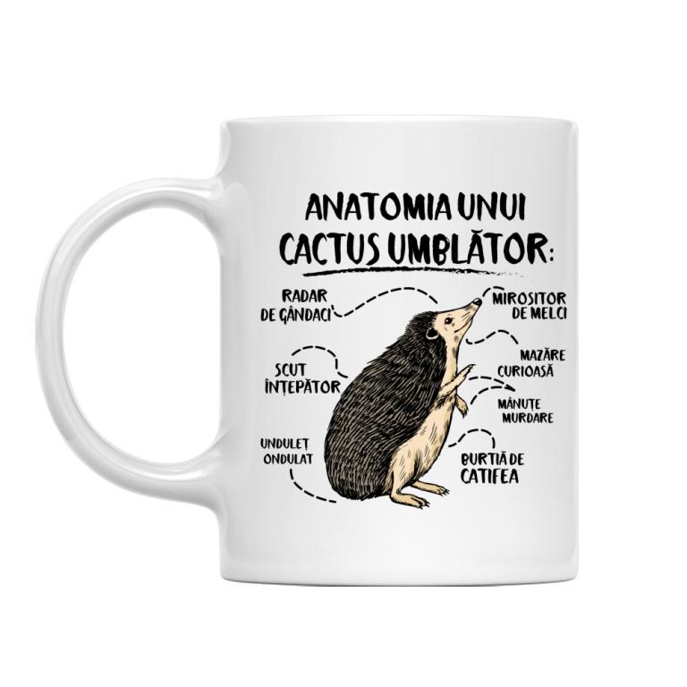 Anatomia unui cactus umblător