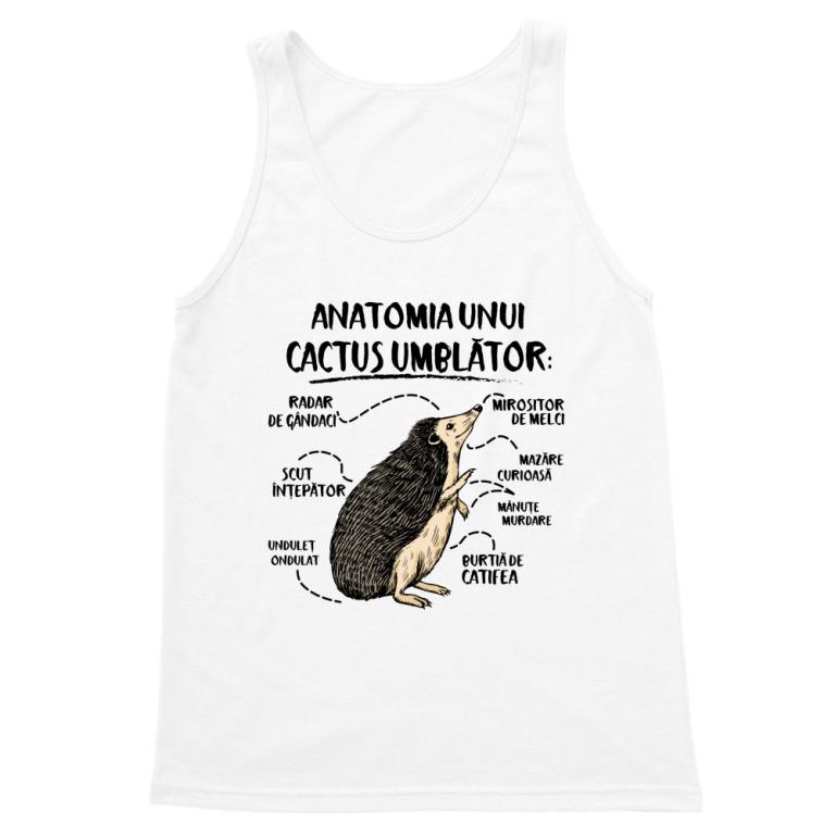 Anatomia unui cactus umblător