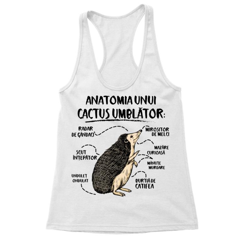 Anatomia unui cactus umblător