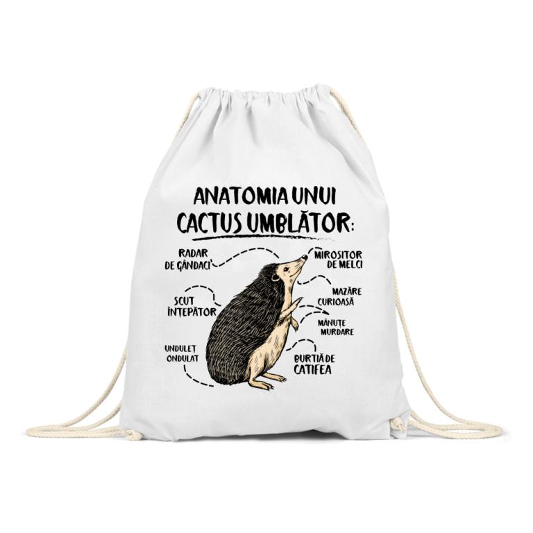 Anatomia unui cactus umblător