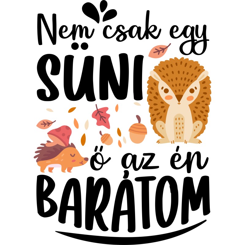 Nem csak egy süni, ő az én barátom