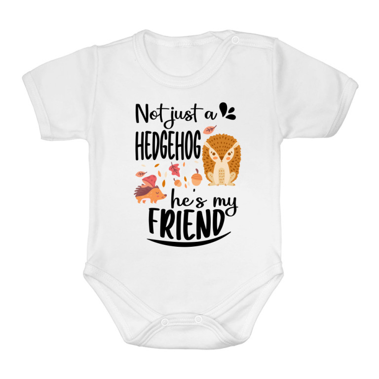 Not just a hedgehog, he is my friend