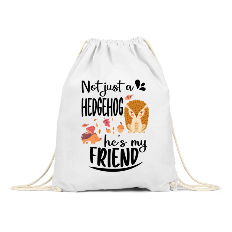 Not just a hedgehog, he is my friend