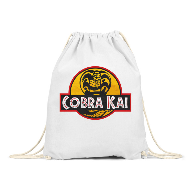 Cobra Kai world