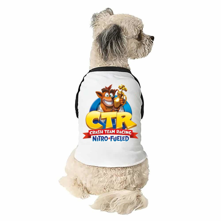 Crash Team Racing Logo