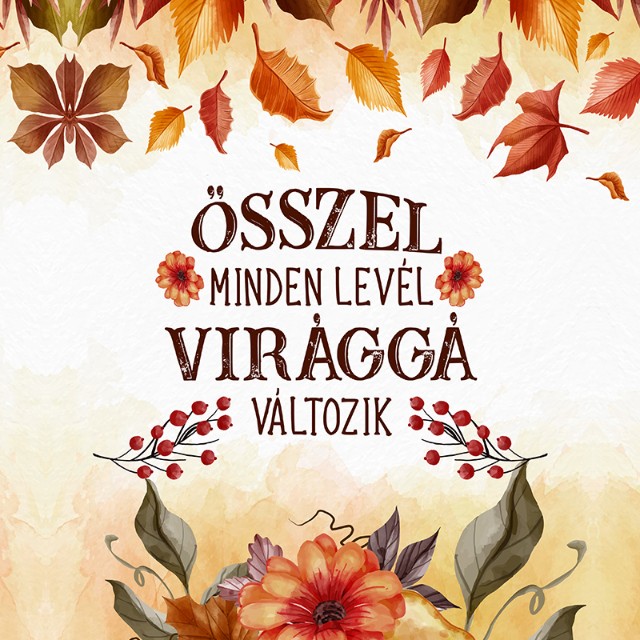 Ősszel minden levél
