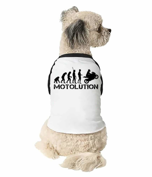 Motolution Járművek Állatoknak - Motoros