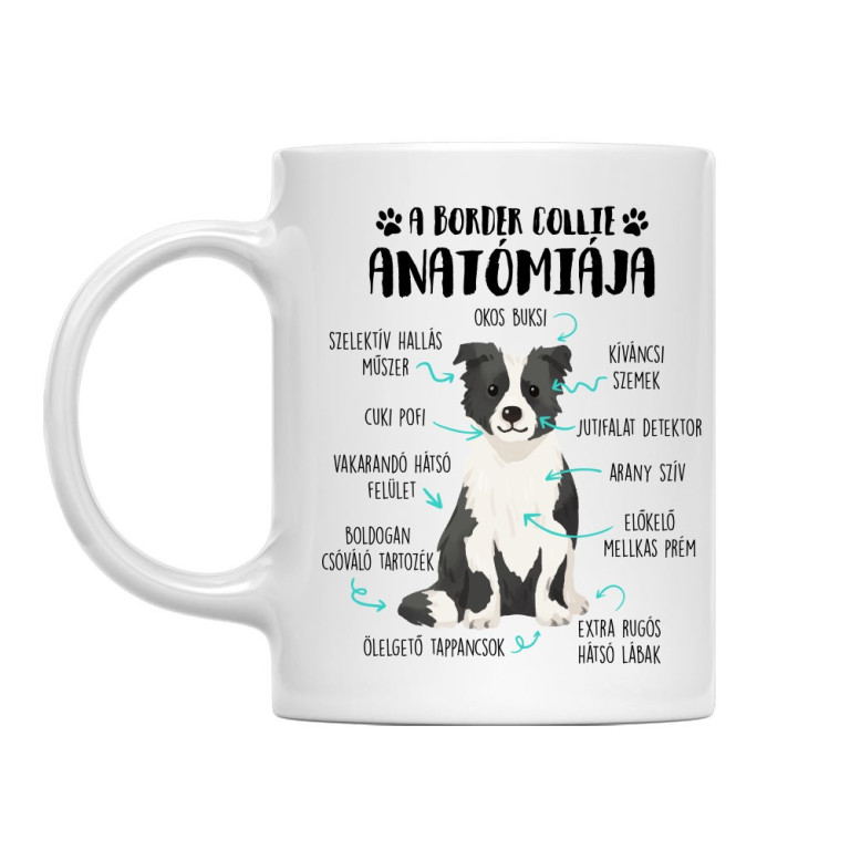 Egy border collie anatómiája