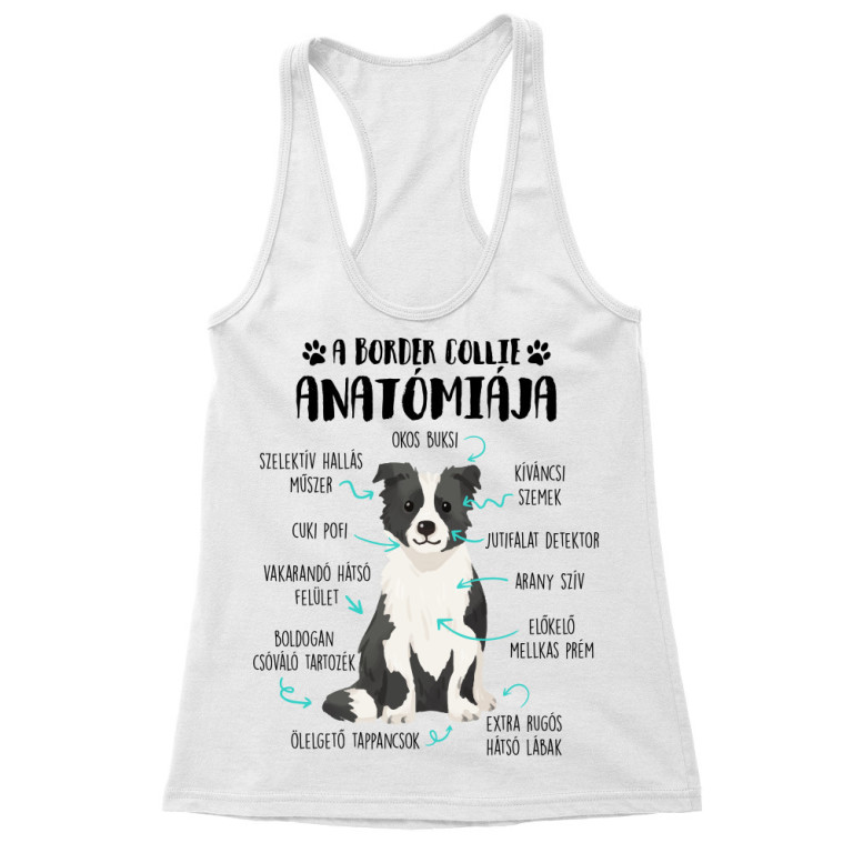 Egy border collie anatómiája