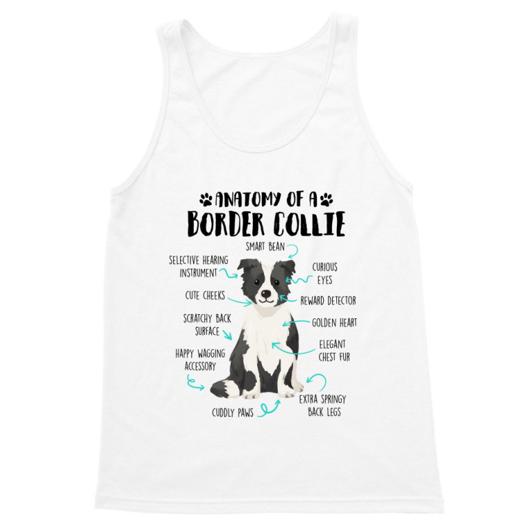 Anatomy of a border collie