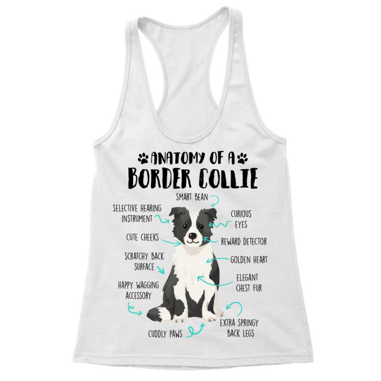 Anatomy of a border collie