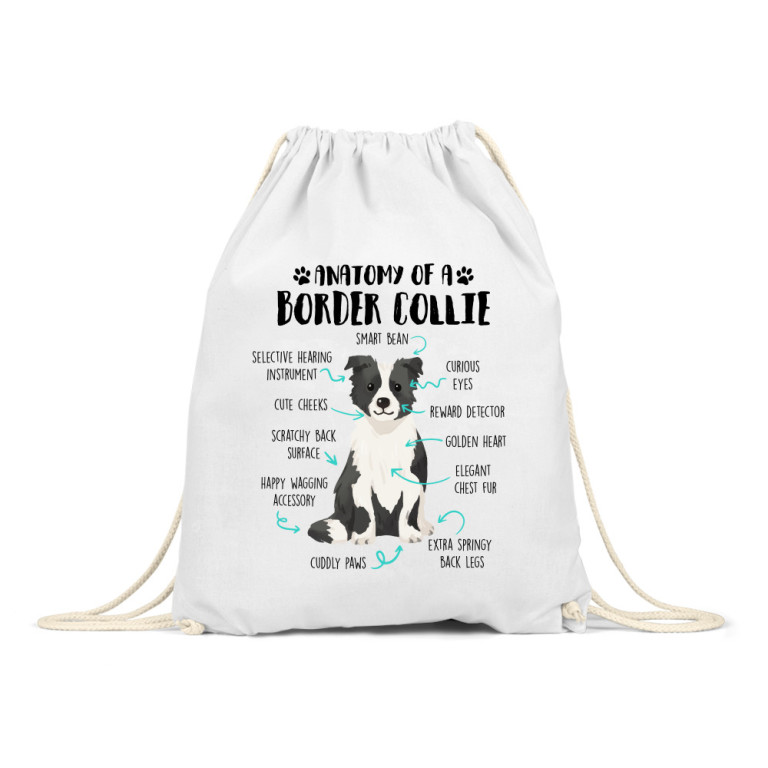 Anatomy of a border collie