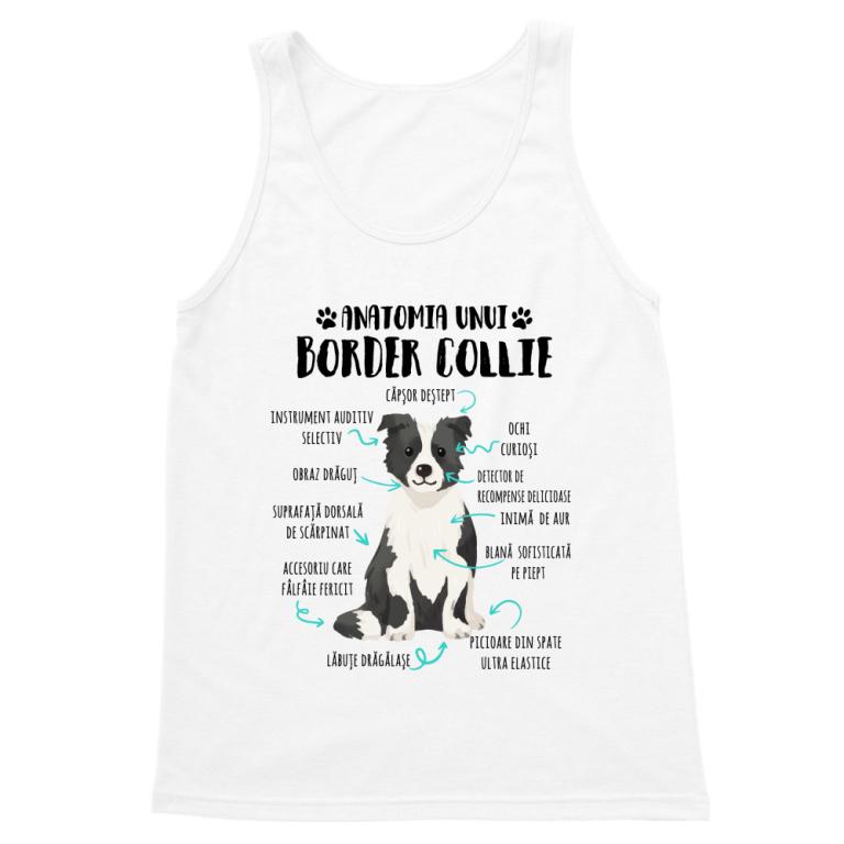 Anatomia unui border collie