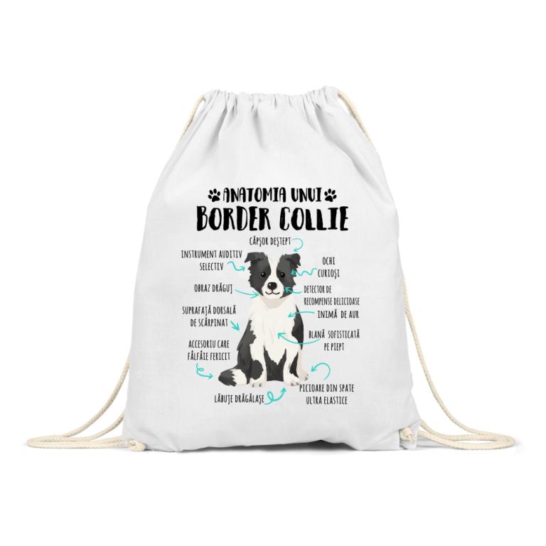 Anatomia unui border collie