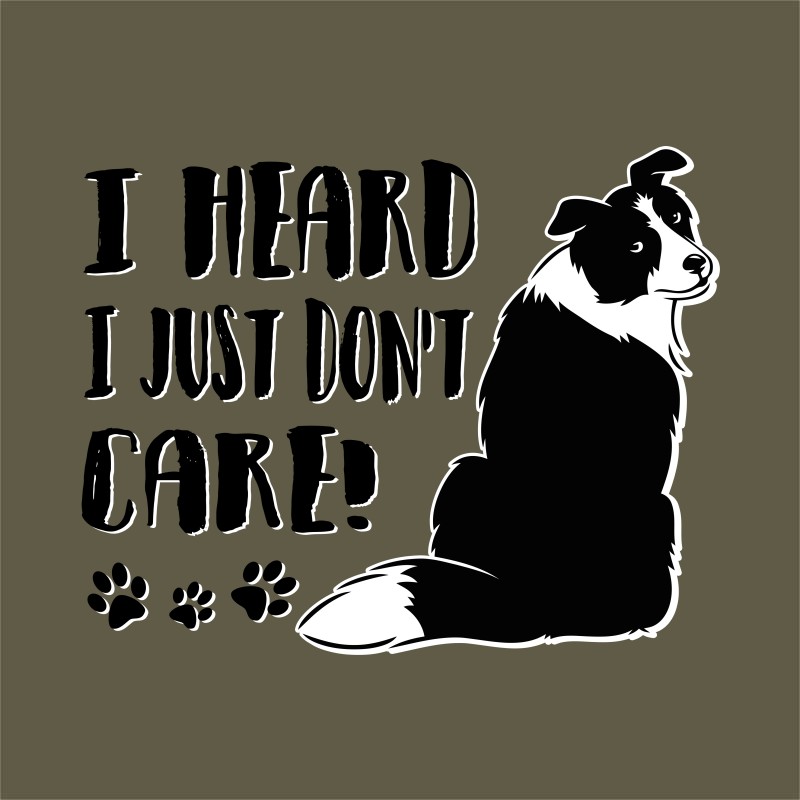 I don't care - border collie