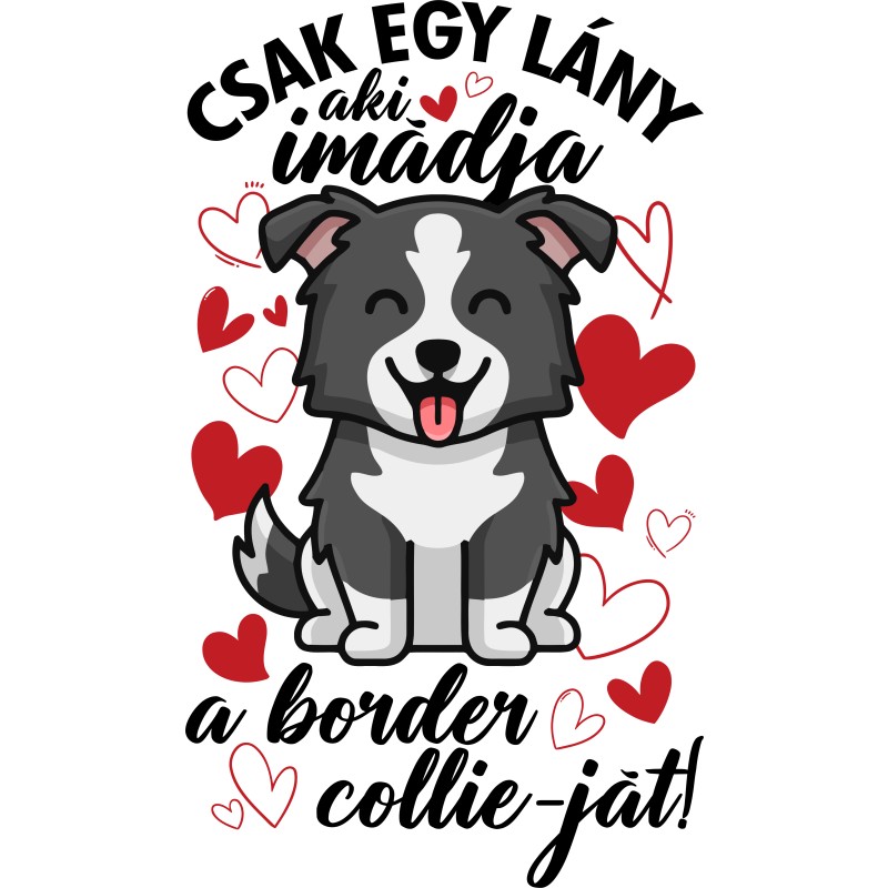 Csak egy lány - border collie