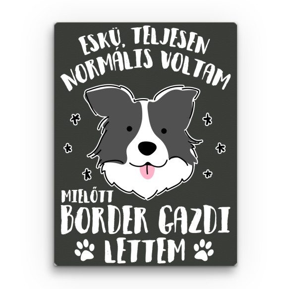 Normális voltam - border collie Border Collie Vászonkép - Kutyás