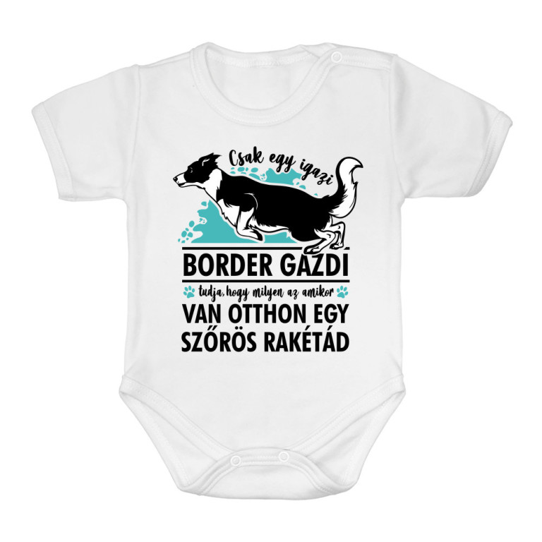 Szőrös rakéta - border collie