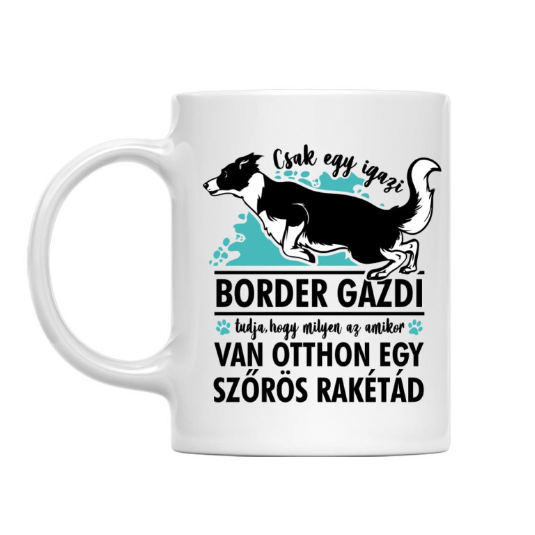 Szőrös rakéta - border collie