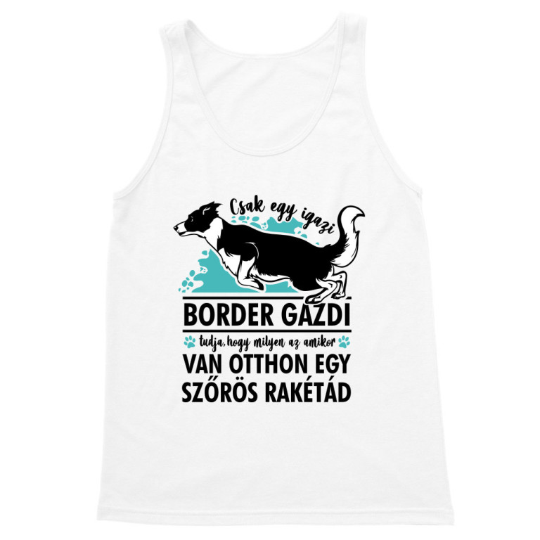 Szőrös rakéta - border collie