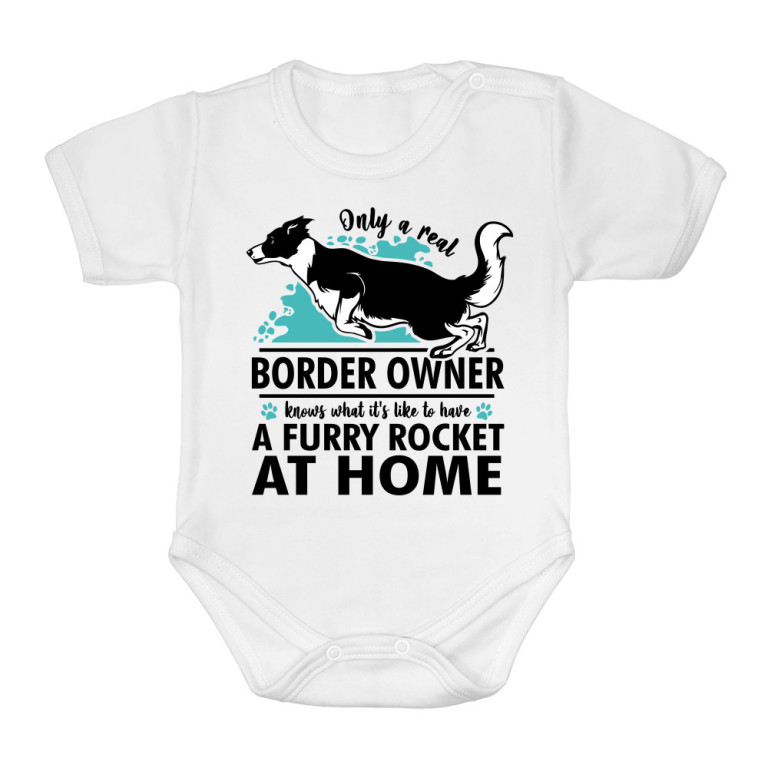 Rocket - border collie