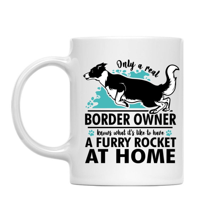 Rocket - border collie